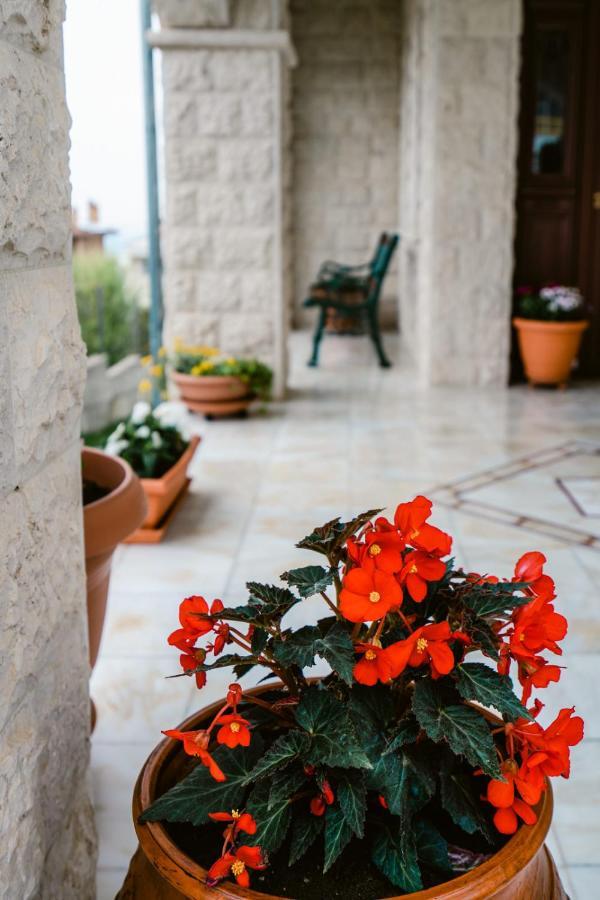 Veria Panorama Luxury Suite With Garden. Экстерьер фото